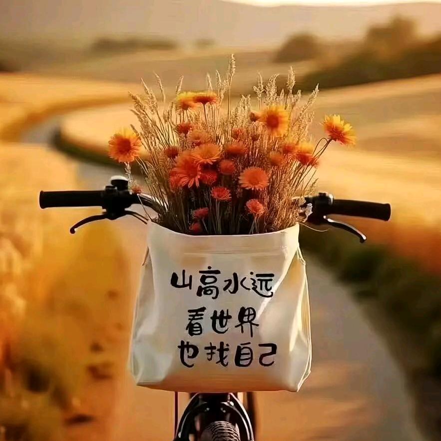 元元宝