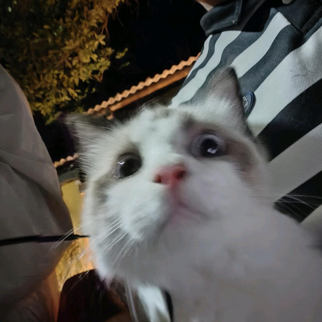 粉红粉红超人