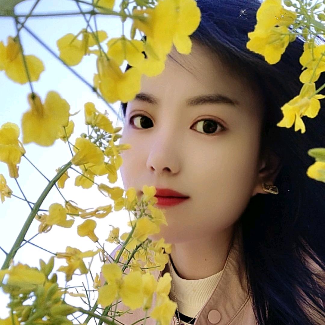 琴琴
