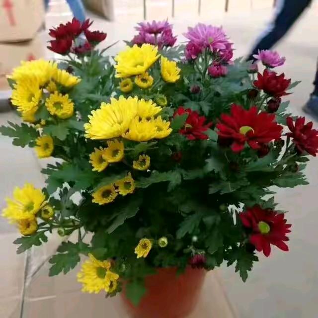 🔥懂得让步🔥