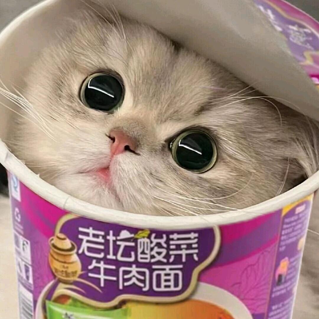 泡面大王