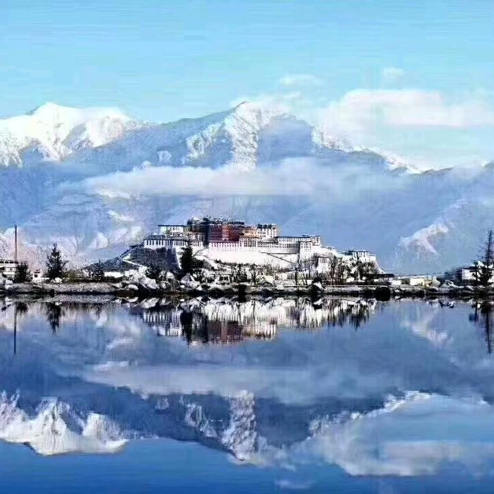 宠爱鹦羽