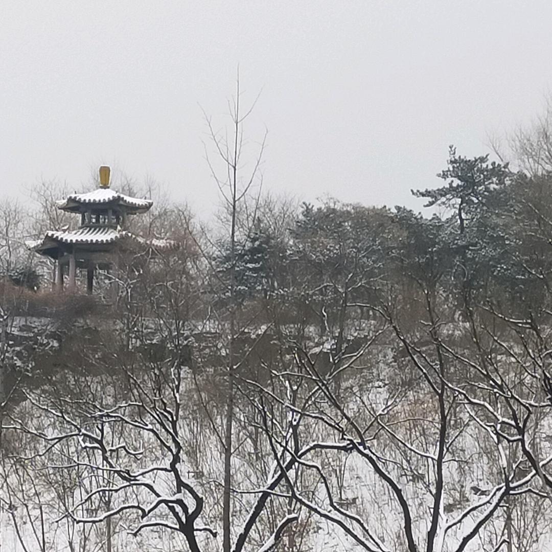 京华瑞雪