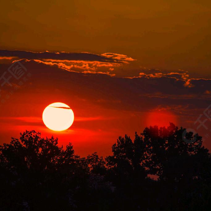 紫微星（龙王）