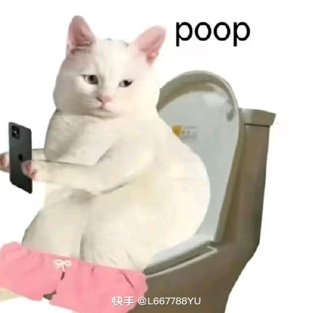 郑氏化工人资总监