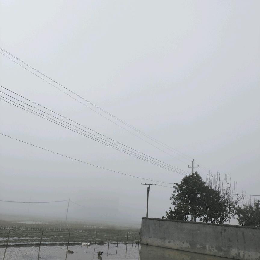 峥嵘
