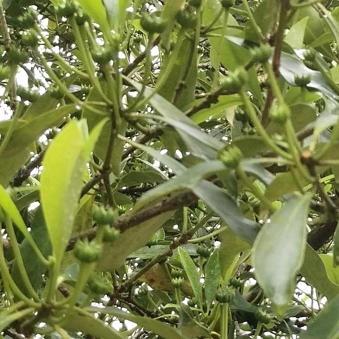 154，向梦想启航