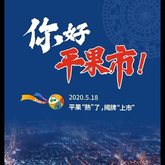 新平果网站