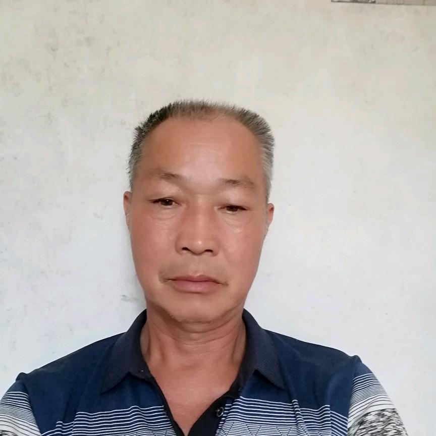 用户小蜜蜂