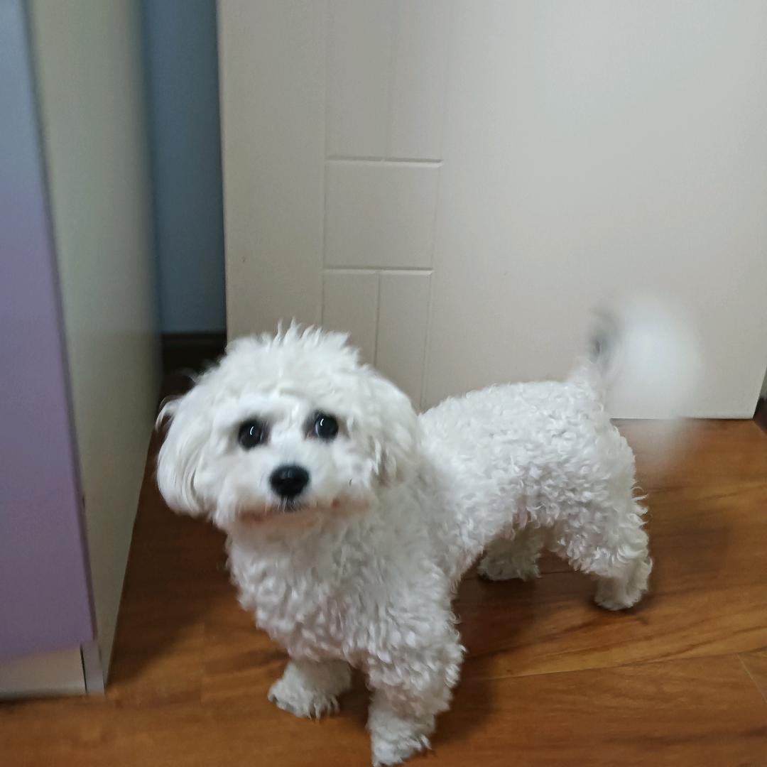 靓姐