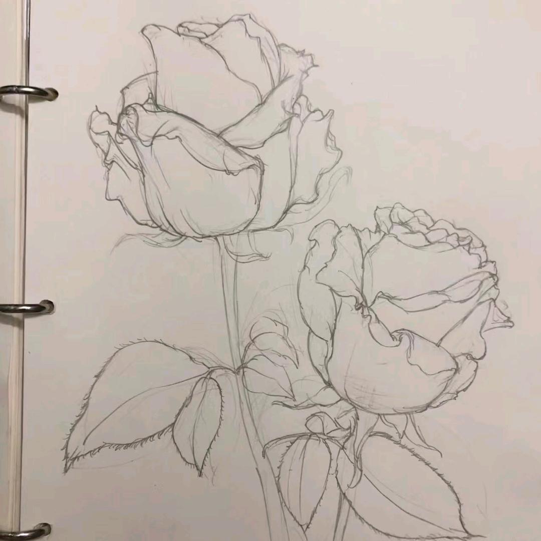 小哥哥