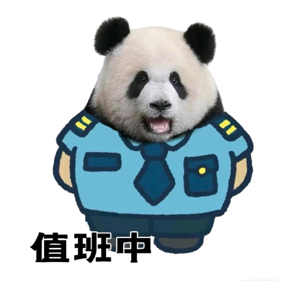 🐼 熊猫没有“黑眼圈”🎶📷