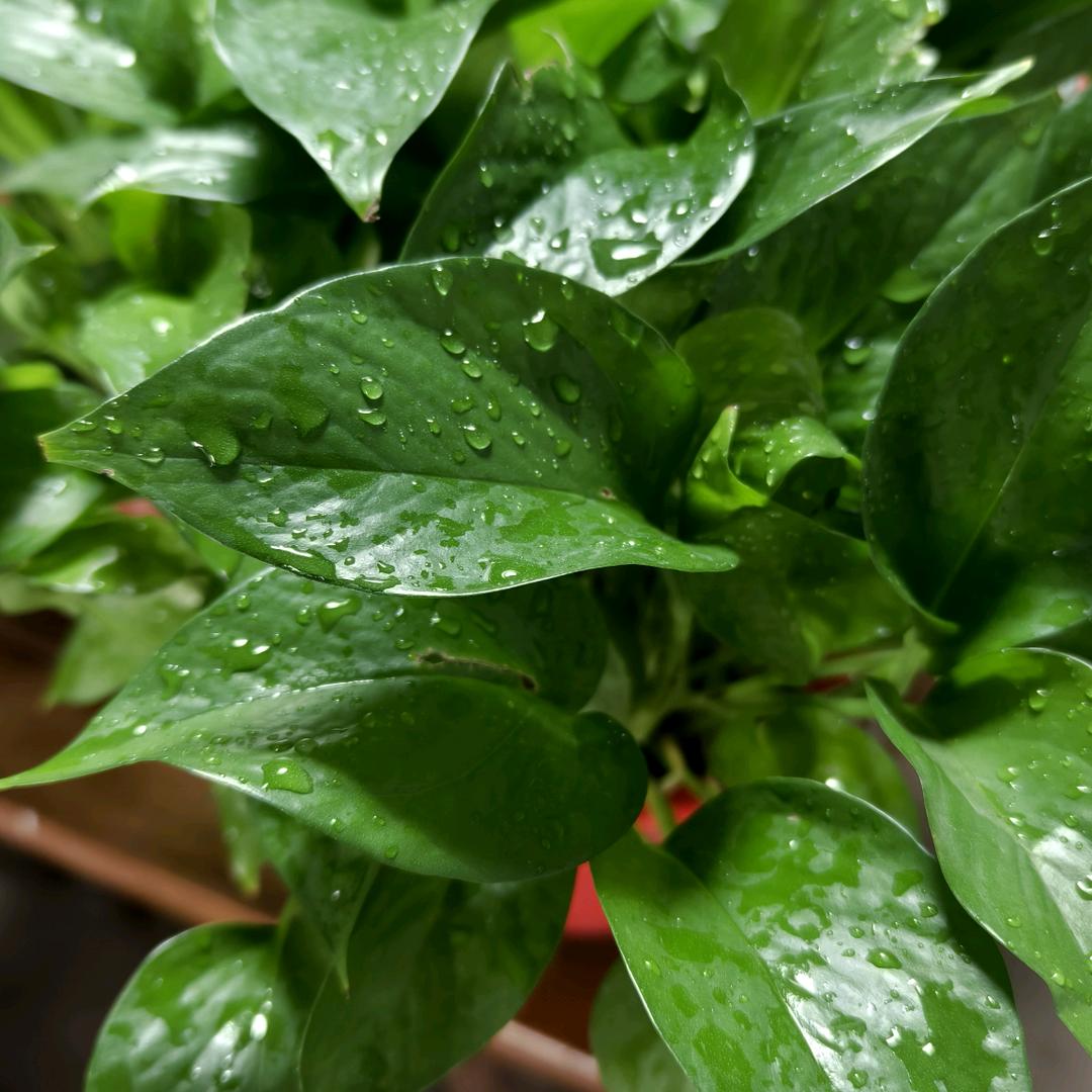 小水沐