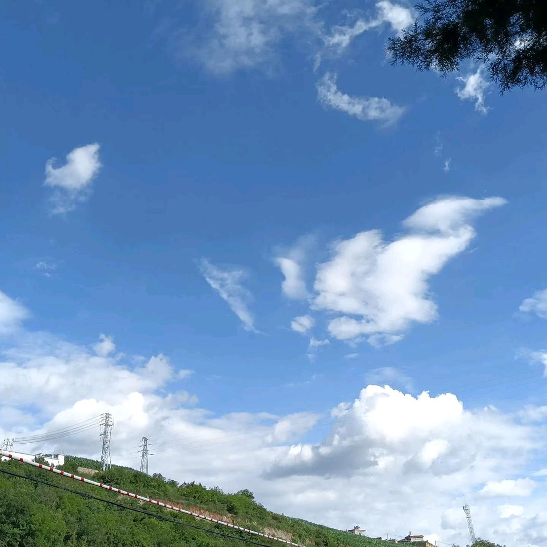 初见、