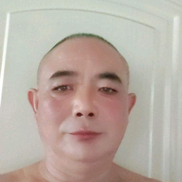 收杨树🌲
