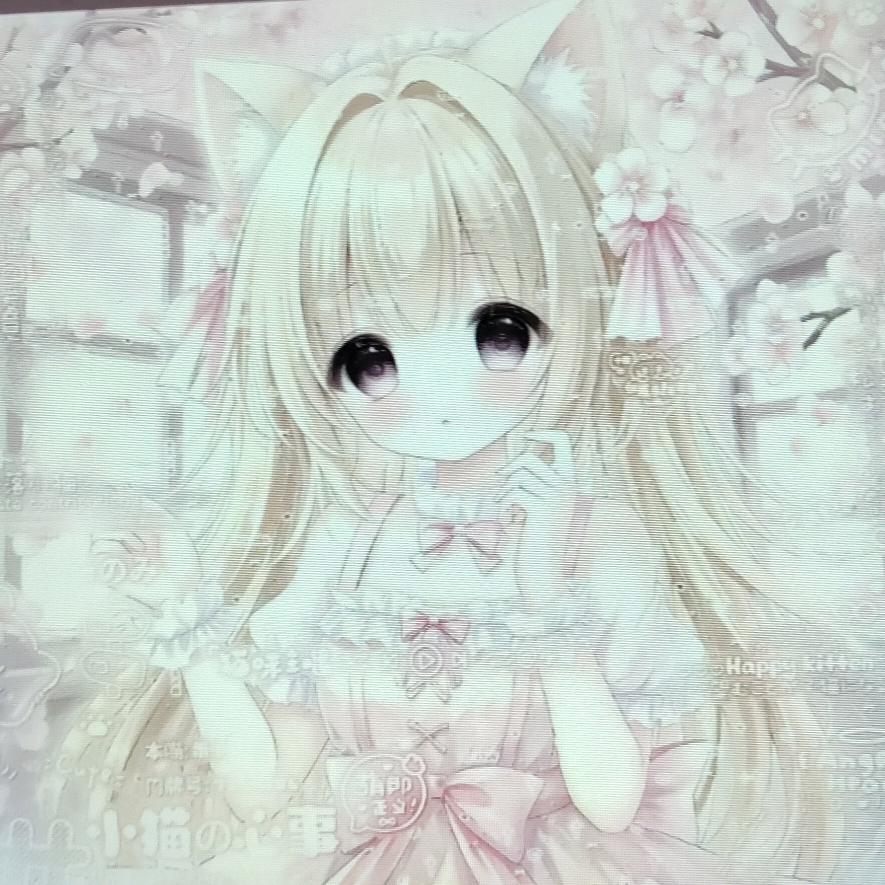 技术主播星星😍