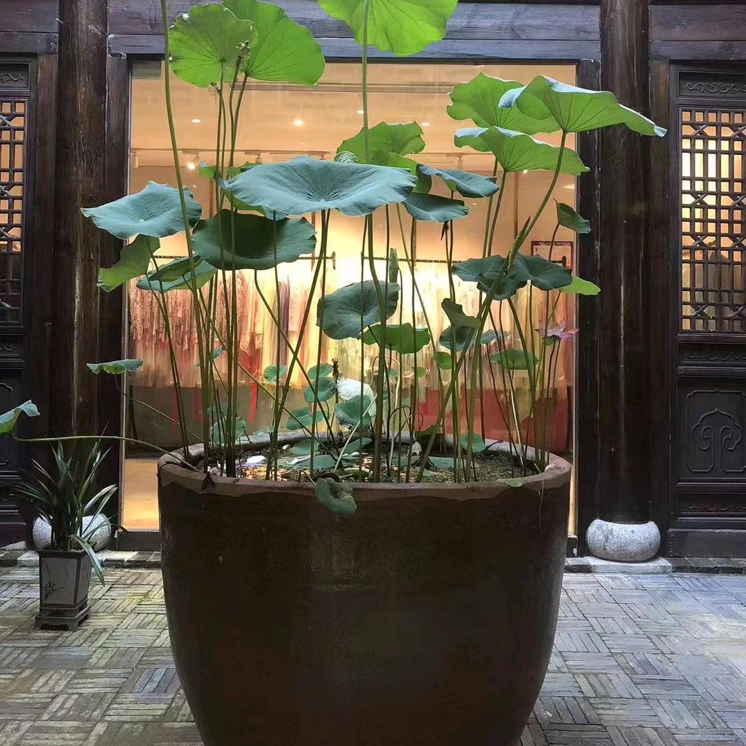 卞海媛