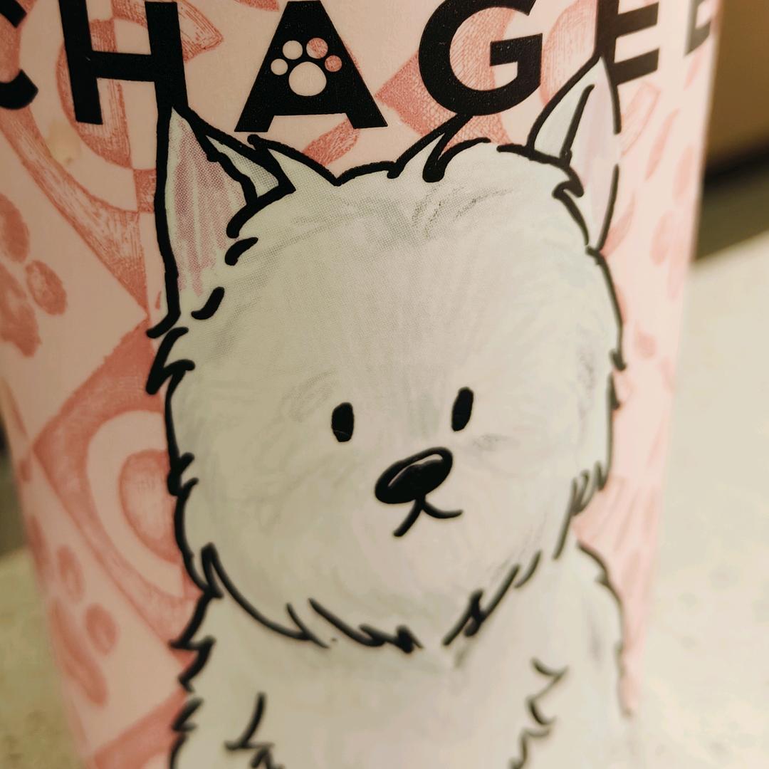 林中鸟