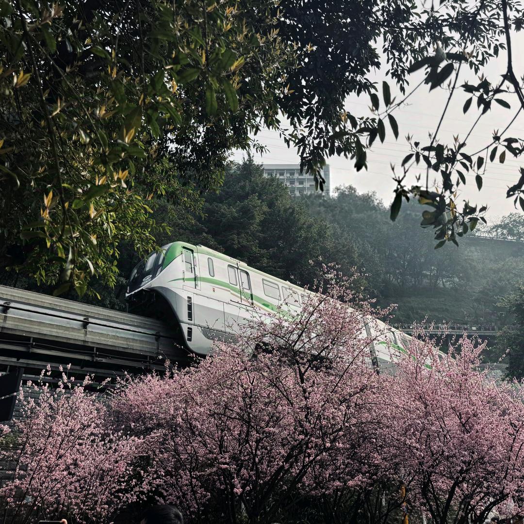 我真的喝不得🍔