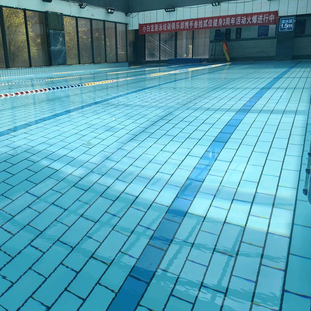 小白龙游泳培训俱乐部