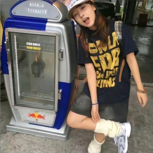 素雅