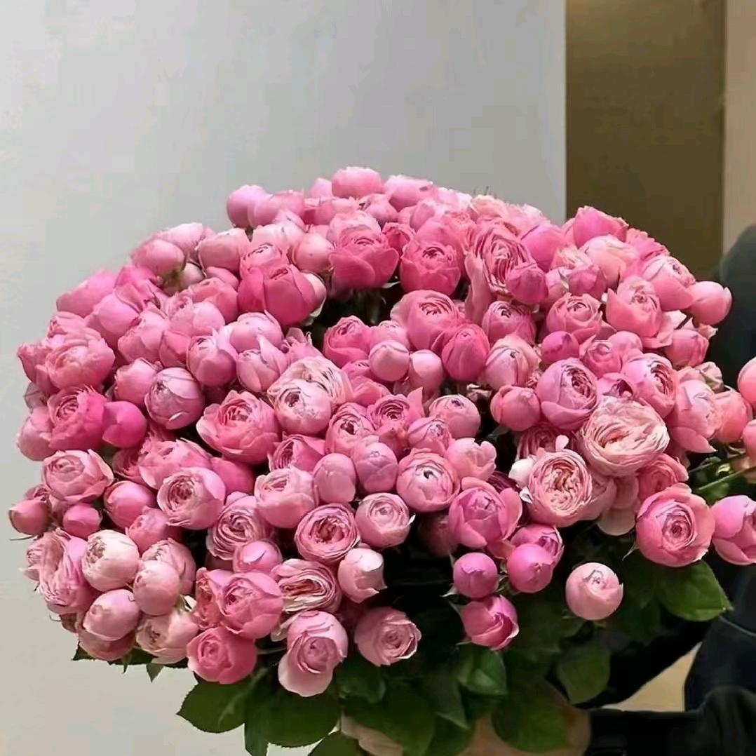 未来可期♥