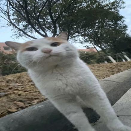 幸福头像