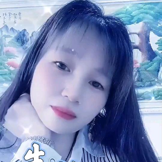 竹风雅梦