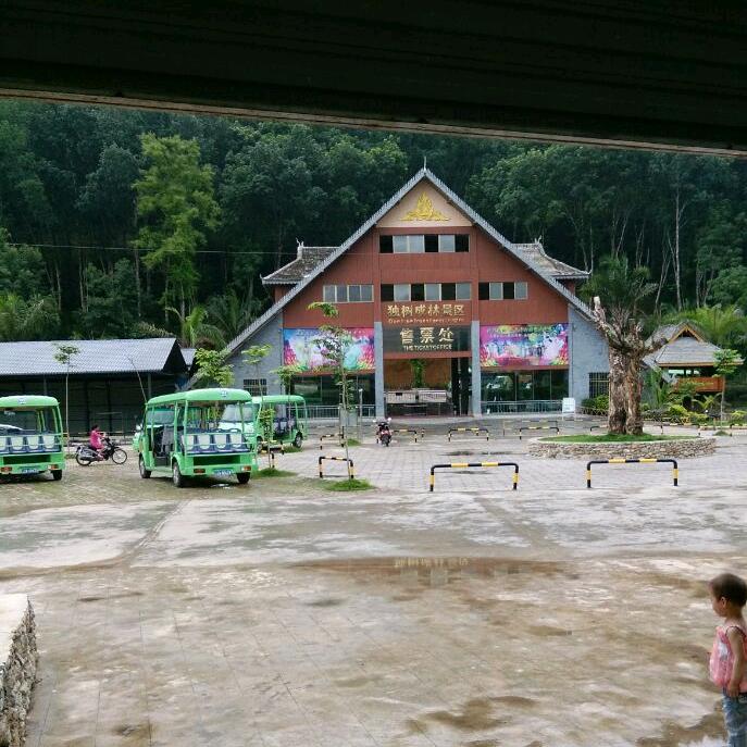 花🌸好月🌸圆花🌸开富贵