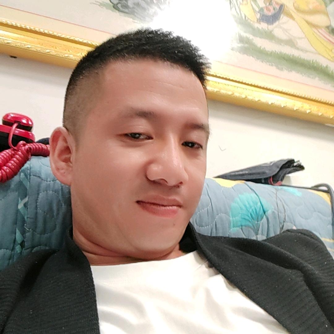 沙漠骆驼