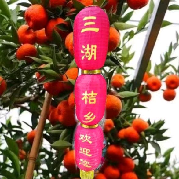 新干三湖农家土特产
