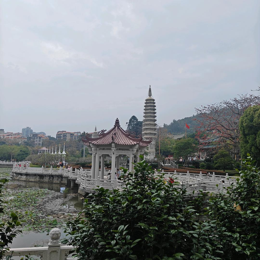 偏爱