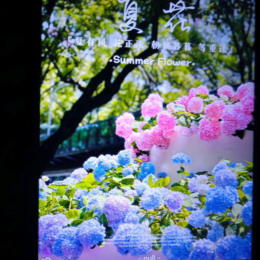 快乐人生