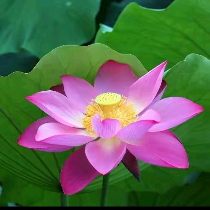 坚持做更好的自己