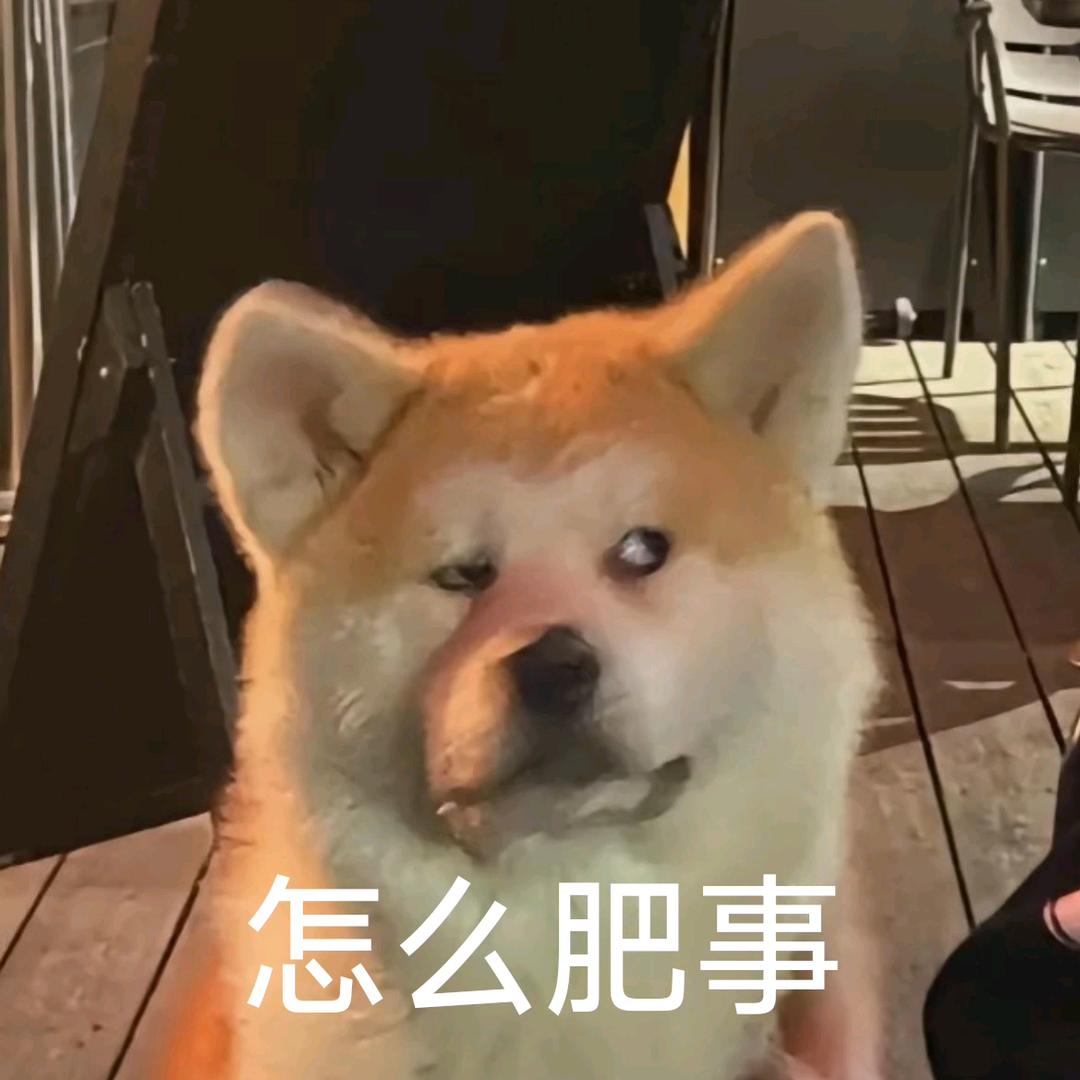 小韩（失去所有重开版）