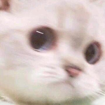 阿真(东山再起版)