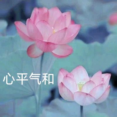 北海培正-小冯老师