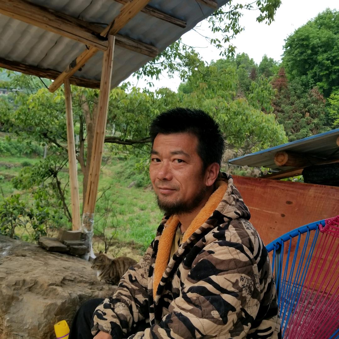 养牛的湘哥@抖音