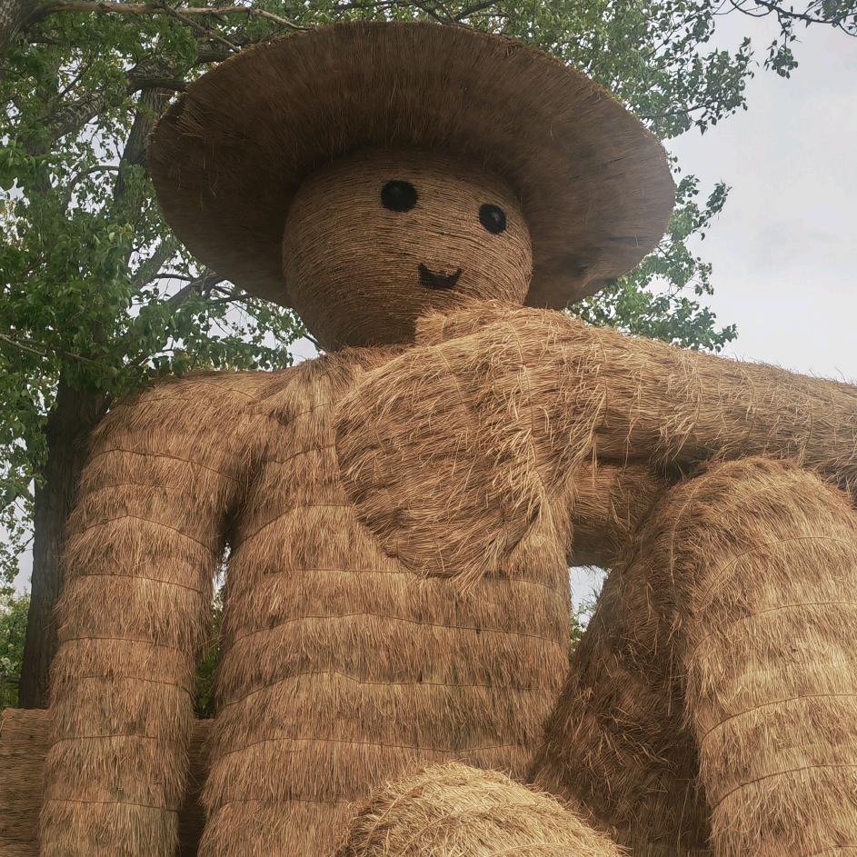 析雨(王者荣耀)