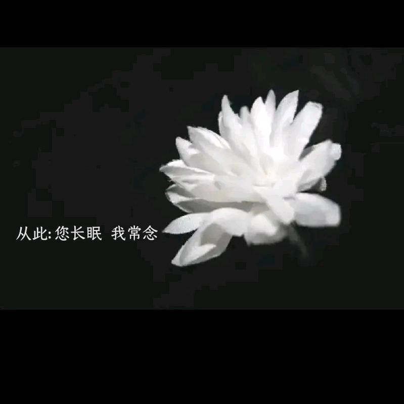 悦心