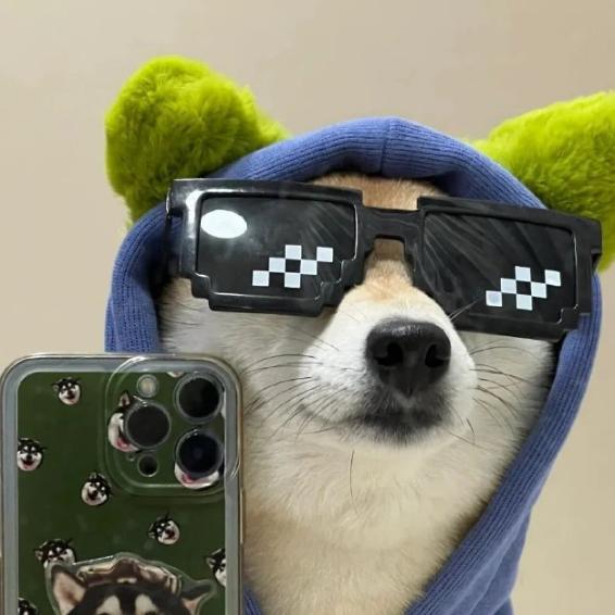 老板今天吃啥