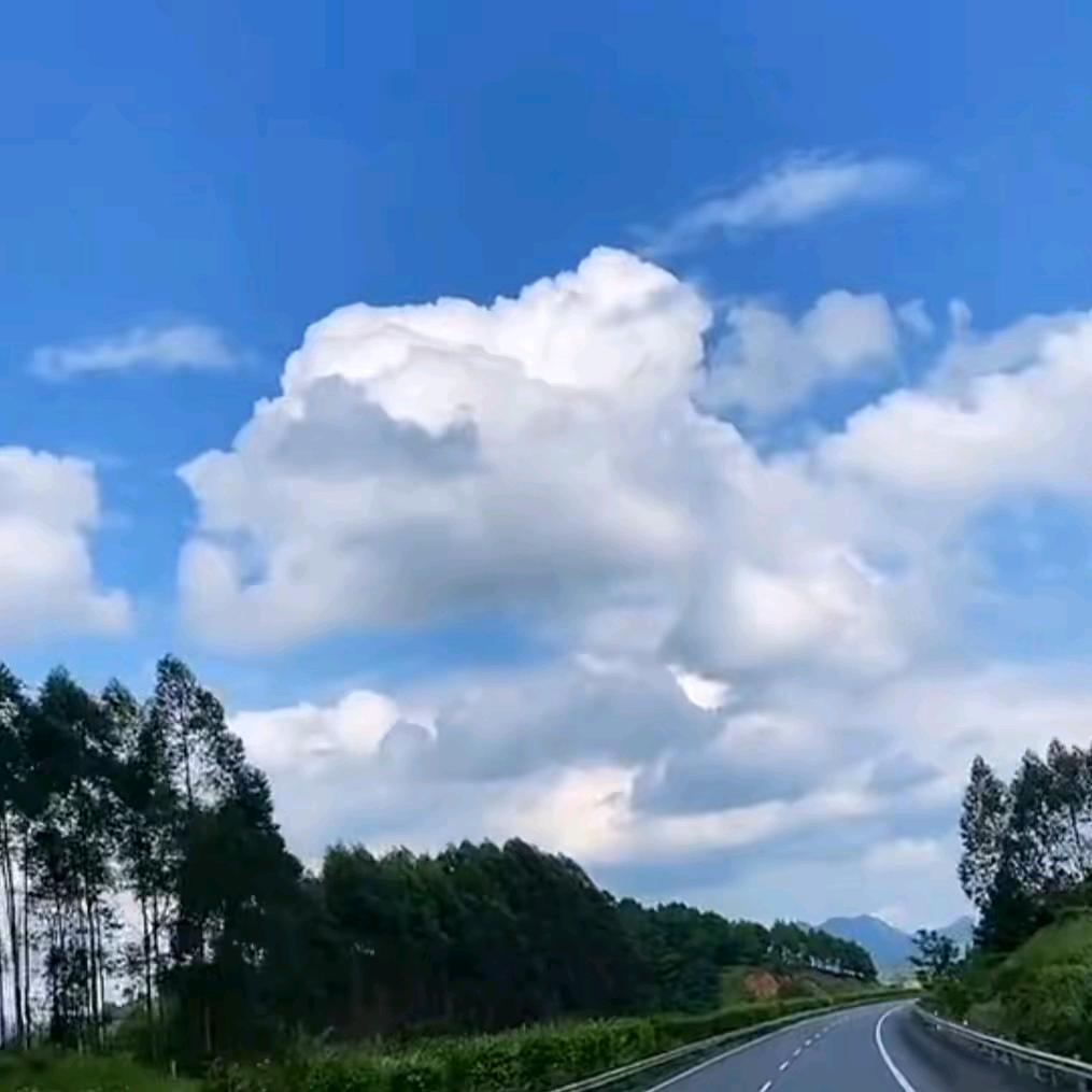 风吹草低见牛羊