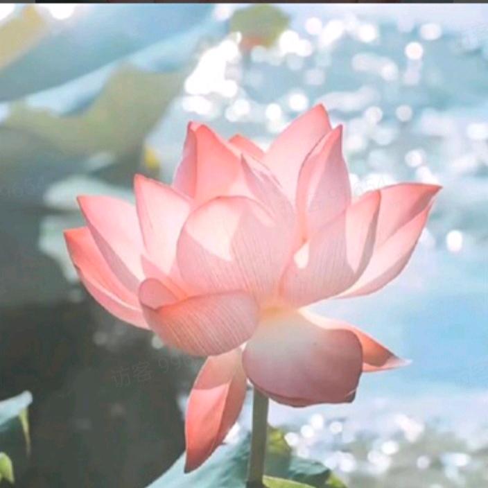 努力成为更优秀的自己