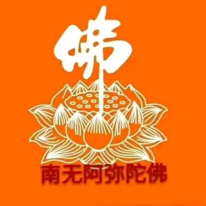佛度有缘人鱼儿曹溪河河底村西