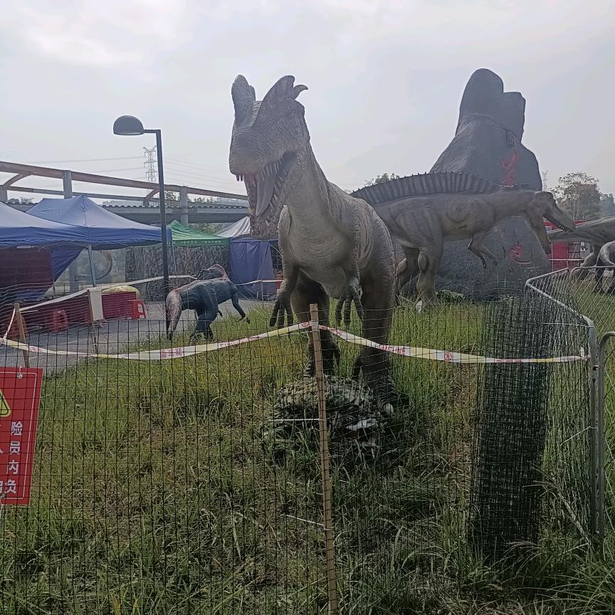 贵州冯二妹七七年的🐍