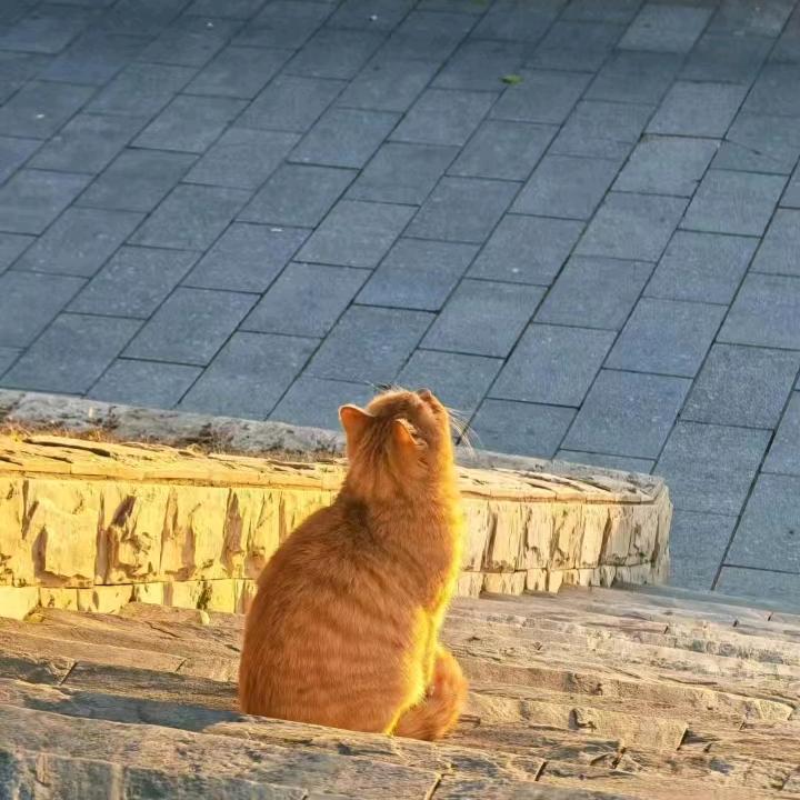 有趣的灵感生活