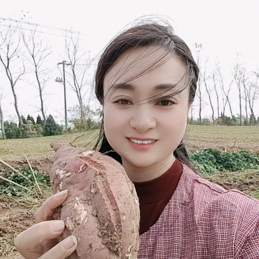 山芋粉丝红姐