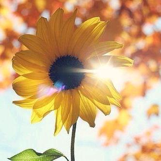 新疆美食餐饮人