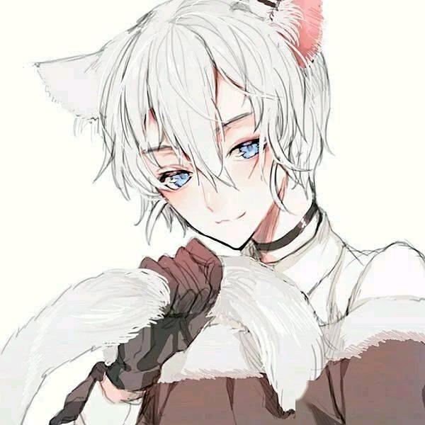 🌈卡布诺奇シ