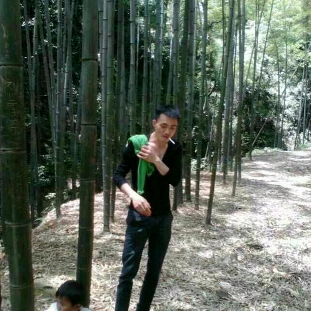 青云志